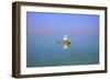 Floating in the Dead Sea (Lowest Place on Earth), Ein Bokek, Israel, Middle East (Mr)-Neil Farrin-Framed Photographic Print