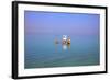 Floating in the Dead Sea (Lowest Place on Earth), Ein Bokek, Israel, Middle East (Mr)-Neil Farrin-Framed Photographic Print