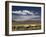 Floating Islands of Uros People, Traditional Reed Boats and Reed Houses, Lake Titicaca, Peru-Simon Montgomery-Framed Photographic Print