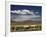 Floating Islands of Uros People, Traditional Reed Boats and Reed Houses, Lake Titicaca, Peru-Simon Montgomery-Framed Photographic Print