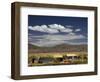 Floating Islands of Uros People, Traditional Reed Boats and Reed Houses, Lake Titicaca, Peru-Simon Montgomery-Framed Photographic Print