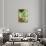 Floating Jade Garden I-Heather Robinson-Stretched Canvas displayed on a wall