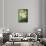 Floating Jade Garden II-Heather Robinson-Framed Stretched Canvas displayed on a wall