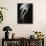 Floating Jellyfish-Henry Horenstein-Photographic Print displayed on a wall