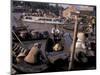 Floating Market in Can Tho, Vietnam-Keren Su-Mounted Photographic Print