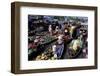 Floating Market of Cai Rang, Can Tho, Mekong Delta, Vietnam, Indochina, Southeast Asia, Asia-Bruno Morandi-Framed Photographic Print
