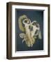 Floating Nymphs-Johann Heinrich Wilhelm Tischbein-Framed Giclee Print