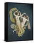 Floating Nymphs-Johann Heinrich Wilhelm Tischbein-Framed Stretched Canvas