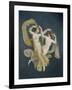 Floating Nymphs-Johann Heinrich Wilhelm Tischbein-Framed Giclee Print