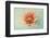 Floating on Air-Judy Stalus-Framed Premium Giclee Print