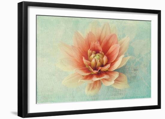 Floating on Air-Judy Stalus-Framed Art Print