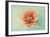 Floating on Air-Judy Stalus-Framed Art Print