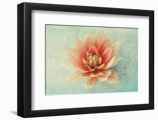 Floating on Air-Judy Stalus-Framed Art Print