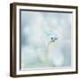 Floating on the Morning Light-Jacob Berghoef-Framed Photographic Print