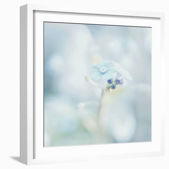 Floating on the Morning Light-Jacob Berghoef-Framed Photographic Print