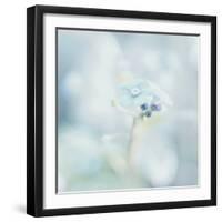 Floating on the Morning Light-Jacob Berghoef-Framed Premium Photographic Print