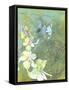Floating Orchids-Jan Weiss-Framed Stretched Canvas