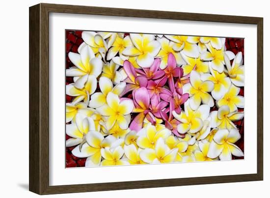 Floating Petals-Anna Coppel-Framed Art Print