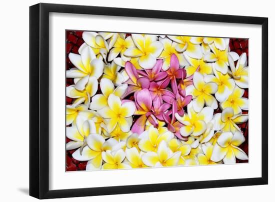 Floating Petals-Anna Coppel-Framed Art Print