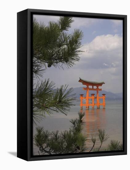 Floating Torii, Viewed Through Pine Tree, Itsuku Shima Jinja, Miyajima, Honshu, Japan-Simanor Eitan-Framed Stretched Canvas