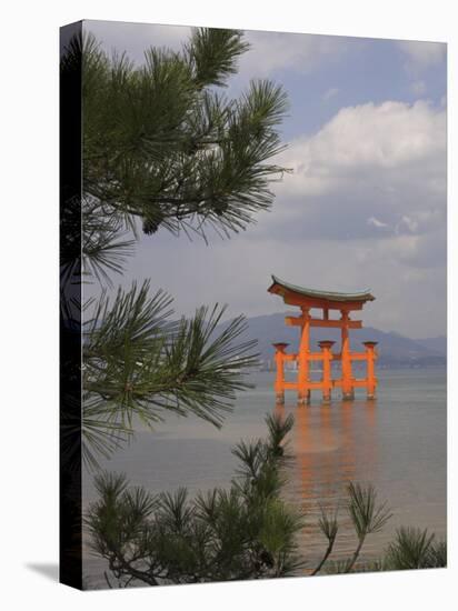 Floating Torii, Viewed Through Pine Tree, Itsuku Shima Jinja, Miyajima, Honshu, Japan-Simanor Eitan-Stretched Canvas