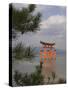 Floating Torii, Viewed Through Pine Tree, Itsuku Shima Jinja, Miyajima, Honshu, Japan-Simanor Eitan-Stretched Canvas