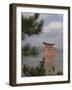 Floating Torii, Viewed Through Pine Tree, Itsuku Shima Jinja, Miyajima, Honshu, Japan-Simanor Eitan-Framed Photographic Print