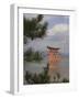 Floating Torii, Viewed Through Pine Tree, Itsuku Shima Jinja, Miyajima, Honshu, Japan-Simanor Eitan-Framed Photographic Print
