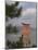 Floating Torii, Viewed Through Pine Tree, Itsuku Shima Jinja, Miyajima, Honshu, Japan-Simanor Eitan-Mounted Photographic Print