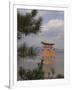 Floating Torii, Viewed Through Pine Tree, Itsuku Shima Jinja, Miyajima, Honshu, Japan-Simanor Eitan-Framed Photographic Print