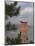 Floating Torii, Viewed Through Pine Tree, Itsuku Shima Jinja, Miyajima, Honshu, Japan-Simanor Eitan-Mounted Photographic Print