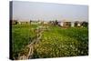 Floating Village of Khmer Fishermen, Kampong Chhnang, Cambodia, Indochina, Southeast Asia, Asia-Nathalie Cuvelier-Stretched Canvas