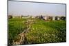 Floating Village of Khmer Fishermen, Kampong Chhnang, Cambodia, Indochina, Southeast Asia, Asia-Nathalie Cuvelier-Mounted Photographic Print