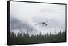 Floatplane Above Rainforest in Misty Fjords National Monument-null-Framed Stretched Canvas