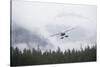 Floatplane Above Rainforest in Misty Fjords National Monument-null-Stretched Canvas