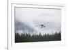 Floatplane Above Rainforest in Misty Fjords National Monument-null-Framed Photographic Print