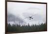 Floatplane Above Rainforest in Misty Fjords National Monument-null-Framed Photographic Print