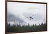 Floatplane Above Rainforest in Misty Fjords National Monument-null-Framed Photographic Print