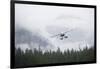 Floatplane Above Rainforest in Misty Fjords National Monument-null-Framed Photographic Print