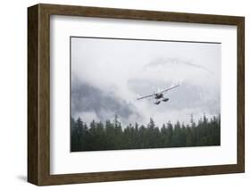 Floatplane Above Rainforest in Misty Fjords National Monument-null-Framed Photographic Print