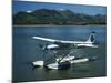 Floatplane, Nadi Bay, Fiji-David Wall-Mounted Photographic Print