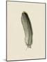 Floaty Feather-The Vintage Collection-Mounted Giclee Print