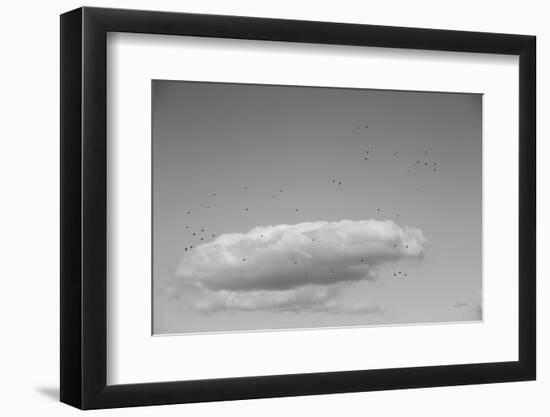 Flock in Flight-Aledanda-Framed Photographic Print