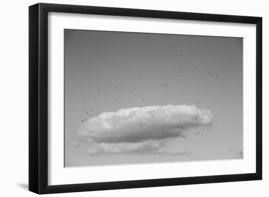 Flock in Flight-Aledanda-Framed Photographic Print