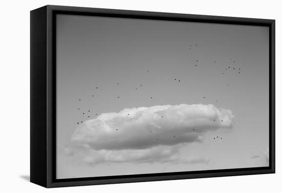 Flock in Flight-Aledanda-Framed Stretched Canvas