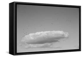 Flock in Flight-Aledanda-Framed Stretched Canvas