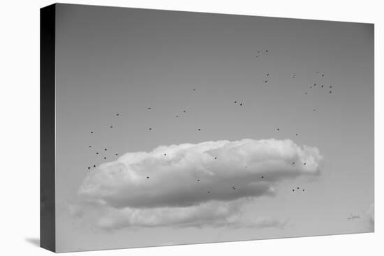 Flock in Flight-Aledanda-Stretched Canvas