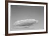 Flock in Flight-Aledanda-Framed Photographic Print