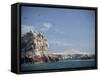 Flock of Birds Above the Coast Near Pisco, Peru, South America-Rob Cousins-Framed Stretched Canvas