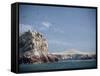 Flock of Birds Above the Coast Near Pisco, Peru, South America-Rob Cousins-Framed Stretched Canvas